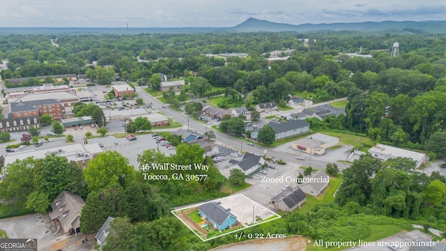 46 Wall Street Way, Toccoa, GA 30577 - view of property location with property boundaries highlighted and a forest