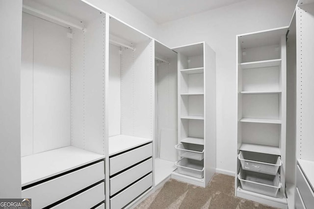132 Berkleigh Trails Dr, Hiram, GA 30141 - spacious closet featuring carpet