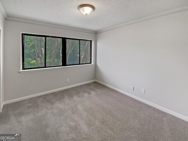 1480 D NE Pine Log Rd Unit D, Conyers, GA 30012 - carpeted empty room with plenty of natural light and a textured ceiling