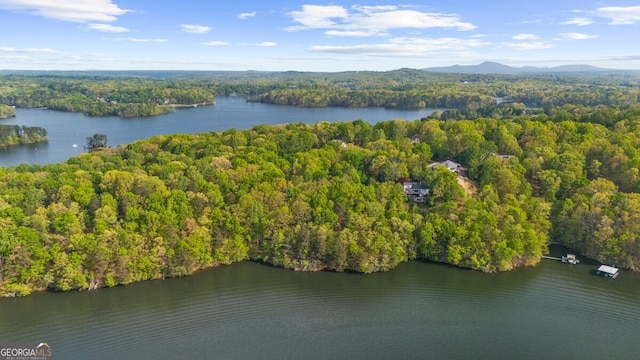 2945 Thompson Mill Rd, Gainesville, GA 30506 - drone / aerial view of a water and mountain view