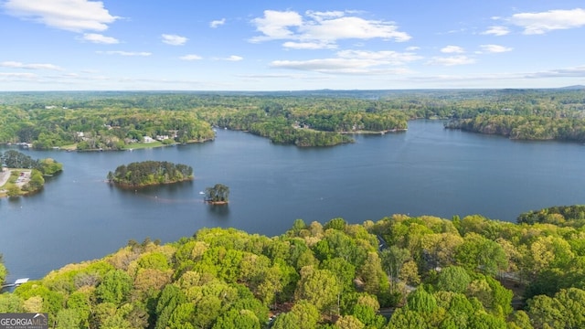 2945 Thompson Mill Rd, Gainesville, GA 30506 - aerial view of a heavily wooded area and a nearby body of water