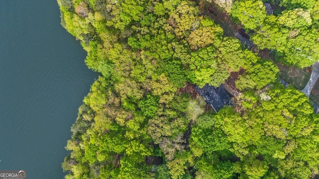 2945 Thompson Mill Rd, Gainesville, GA 30506 - bird's eye view of a nearby body of water