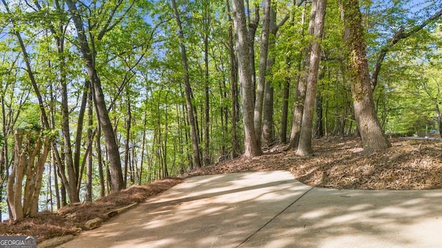 2945 Thompson Mill Rd, Gainesville, GA 30506 - view of home's community with a patio and a wooded view