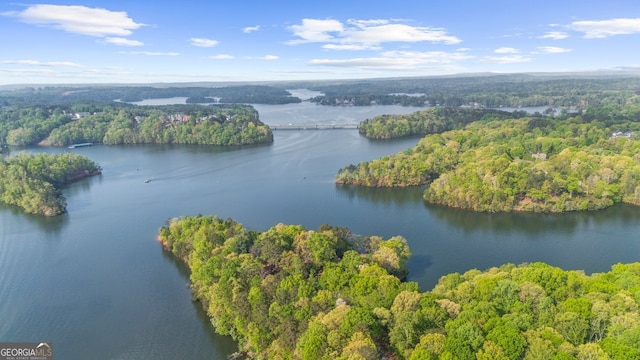 2945 Thompson Mill Rd, Gainesville, GA 30506 - drone / aerial view of a forest