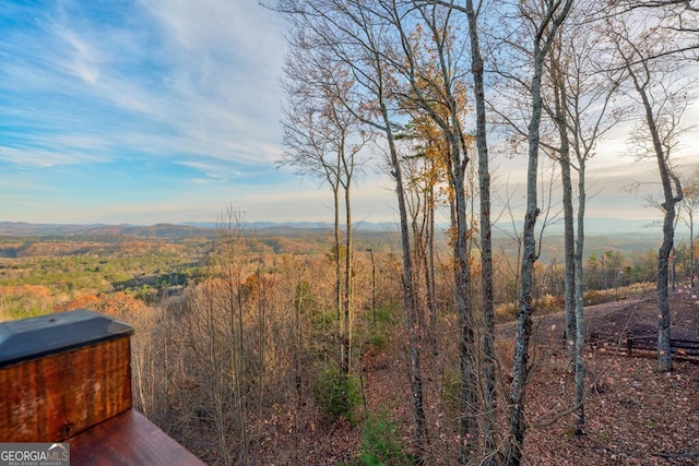 588 Tower Rd, Mineral Bluff, GA 30559 - view of yard with a mountain view and a forest view