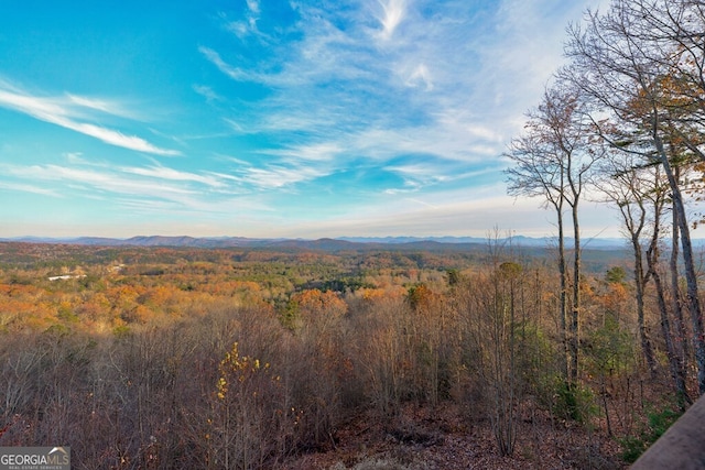 588 Tower Rd, Mineral Bluff, GA 30559 - view of mountain background with a forest