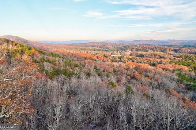 588 Tower Rd, Mineral Bluff, GA 30559 - view of mountain backdrop with a heavily wooded area