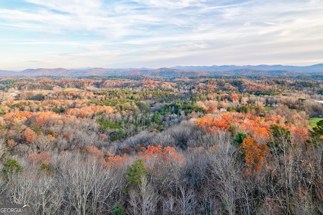 588 Tower Rd, Mineral Bluff, GA 30559 - view of mountain background featuring a forest