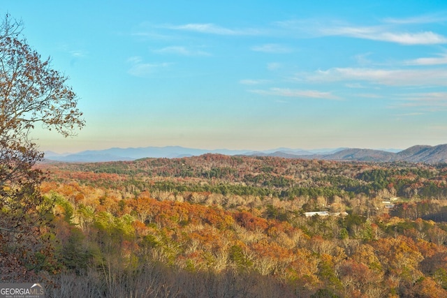 588 Tower Rd, Mineral Bluff, GA 30559 - mountain view featuring a forest