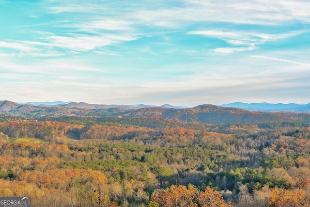588 Tower Rd, Mineral Bluff, GA 30559 - view of mountain background featuring a heavily wooded area