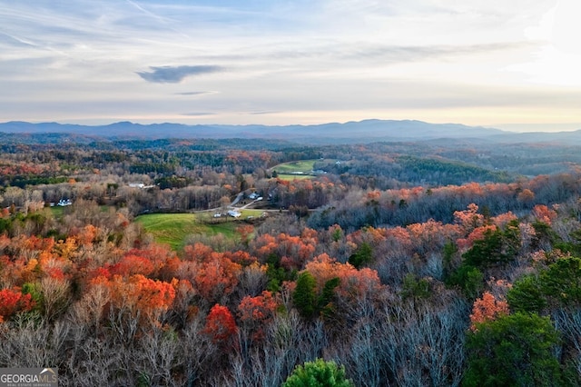 588 Tower Rd, Mineral Bluff, GA 30559 - view of mountain backdrop featuring a forest