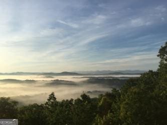 588 Tower Rd, Mineral Bluff, GA 30559 - view of nature