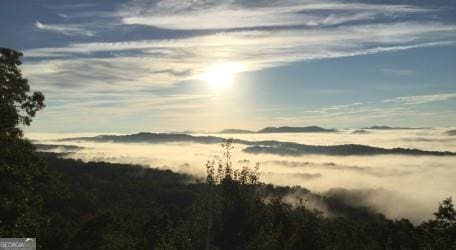 588 Tower Rd, Mineral Bluff, GA 30559 - view of nature