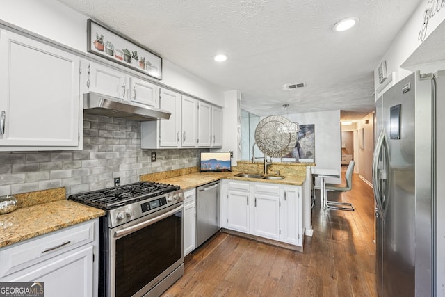 4467 Pineridge Cir, Atlanta, GA 30338 - kitchen featuring appliances with stainless steel finishes, under cabinet range hood, a peninsula, dark wood-style flooring, and white cabinets