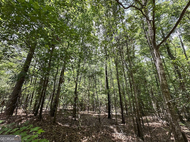 9.82/-ACRES Springfield Rd, Sparta, GA 31087