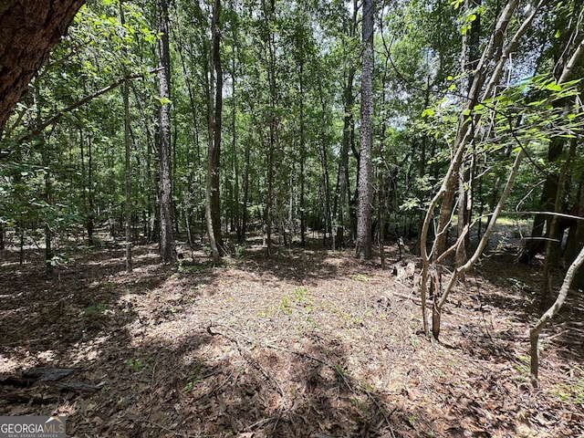 9.82/-ACRES Springfield Rd, Sparta, GA 31087