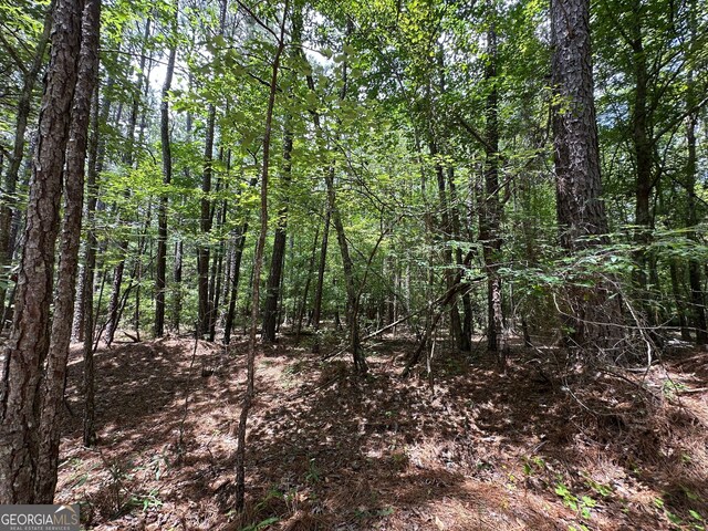 9.82/-ACRES Springfield Rd, Sparta, GA 31087
