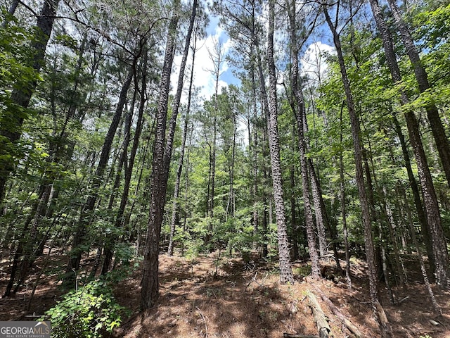 9.82/-ACRES Springfield Rd, Sparta, GA 31087