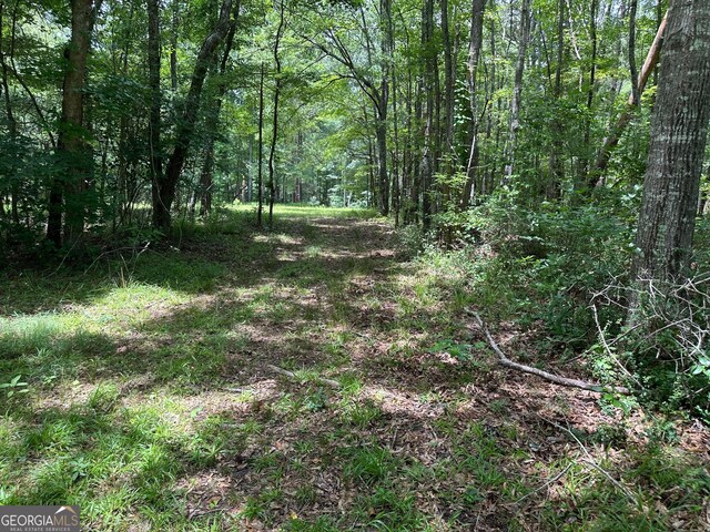 9.82/-ACRES Springfield Rd, Sparta, GA 31087