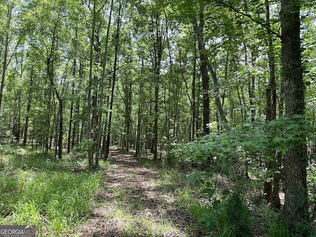 9.82/-ACRES Springfield Rd, Sparta, GA 31087