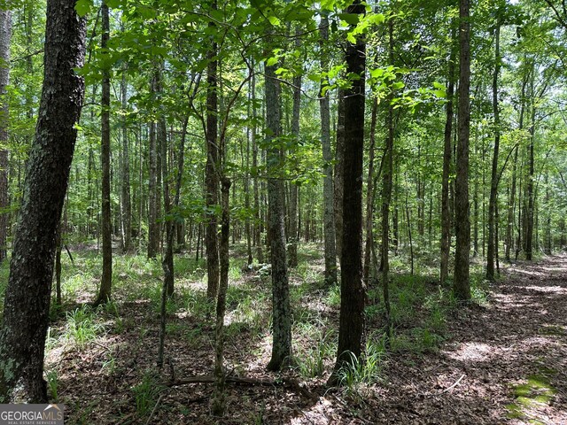 9.82/-ACRES Springfield Rd, Sparta, GA 31087