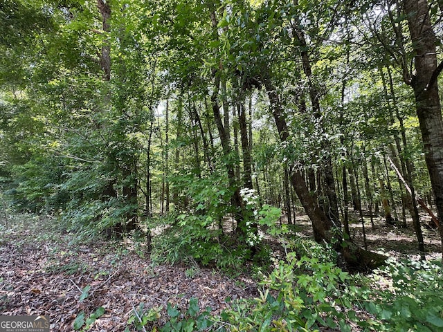 9.82/-ACRES Springfield Rd, Sparta, GA 31087