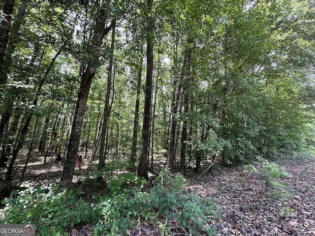 9.82/-ACRES Springfield Rd, Sparta, GA 31087