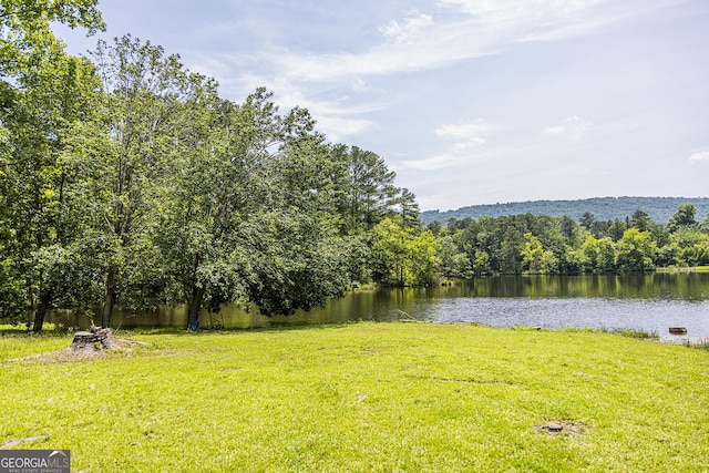 83 Manning Lake Rd SW, Rome, GA 30165 - water view with a forest