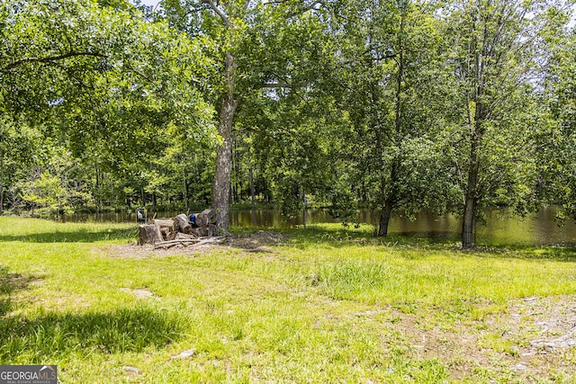 83 Manning Lake Rd SW, Rome, GA 30165 - view of yard