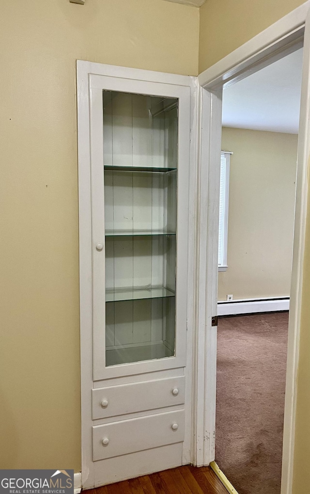 201 Glen Iris Dr, Monroe, GA 30655 - detailed view of a baseboard radiator and carpet flooring