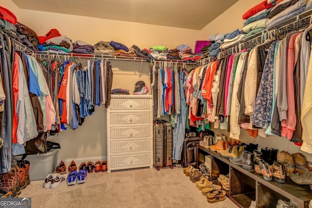 312 Relative Trl, Mcdonough, GA 30253 - walk in closet featuring carpet