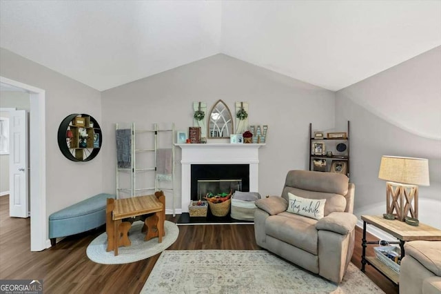 1050 Birdseye Vw, Locust Grove, GA 30248 - living room featuring wood finished floors, lofted ceiling, and a glass covered fireplace