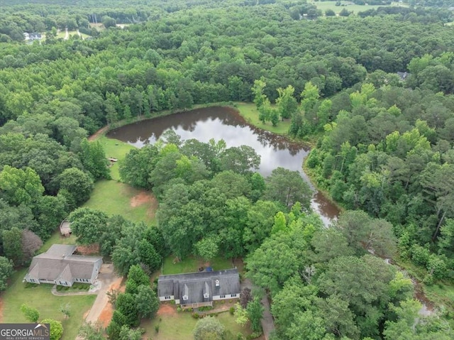 1050 Birdseye Vw, Locust Grove, GA 30248 - aerial view of property's location featuring a large body of water and a forest