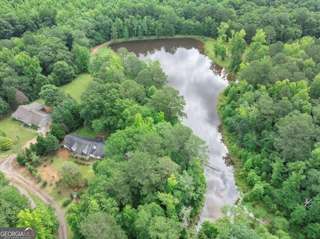 1050 Birdseye Vw, Locust Grove, GA 30248 - aerial view of property and surrounding area with a nearby body of water and a forest