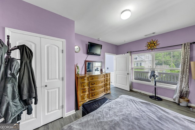 226 Creek View Ln, Acworth, GA 30102 - bedroom with wood finished floors and a closet