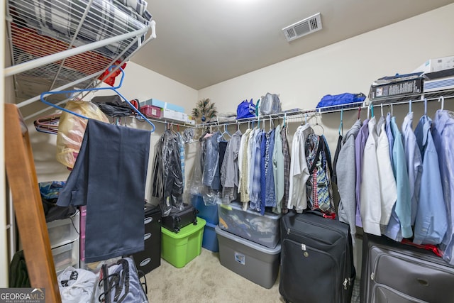 226 Creek View Ln, Acworth, GA 30102 - spacious closet with carpet flooring
