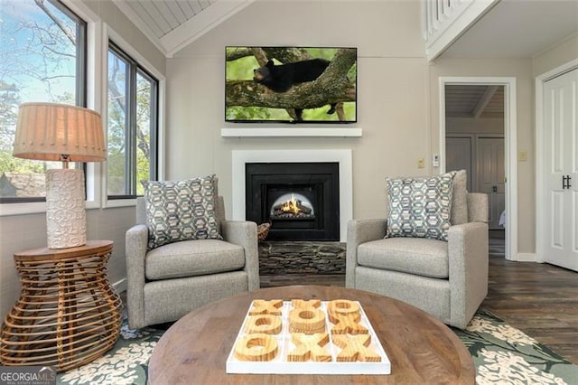 125 Wolfscratch, Big Canoe, GA 30143 - sitting room featuring wood finished floors, healthy amount of natural light, and a warm lit fireplace