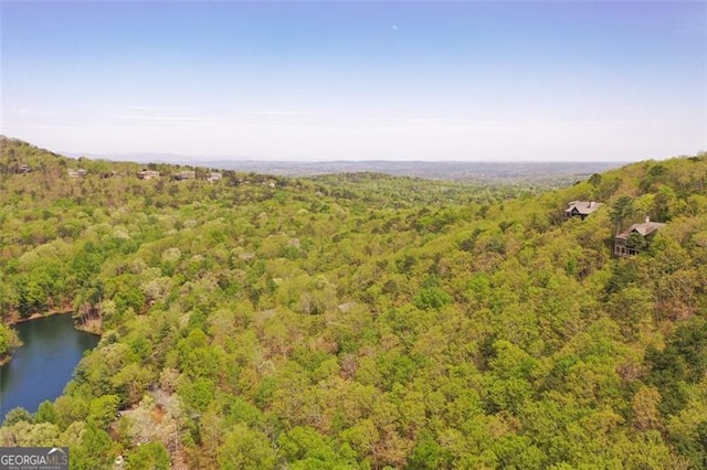 125 Wolfscratch, Big Canoe, GA 30143 - aerial view of a heavily wooded area and a nearby body of water