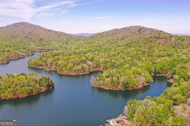 125 Wolfscratch, Big Canoe, GA 30143 - bird's eye view of a forest and a water and mountain view