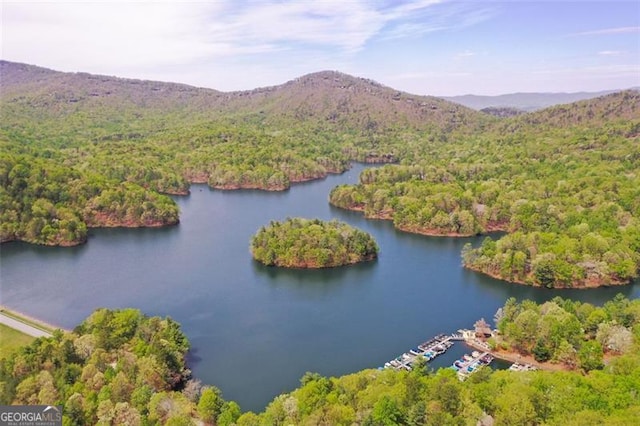 125 Wolfscratch, Big Canoe, GA 30143 - aerial view of a heavily wooded area and a water and mountain view