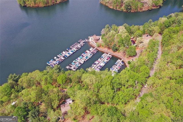 125 Wolfscratch, Big Canoe, GA 30143 - view of property location featuring a large body of water and a marina