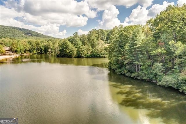 125 Wolfscratch, Big Canoe, GA 30143 - water view with a forest
