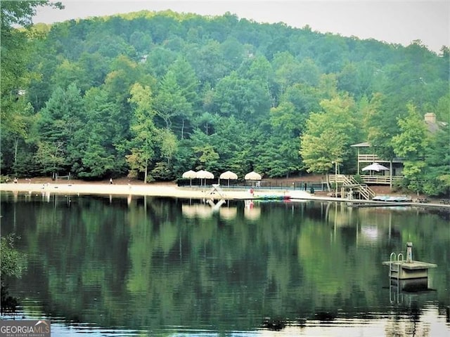 125 Wolfscratch, Big Canoe, GA 30143 - water view with a forest