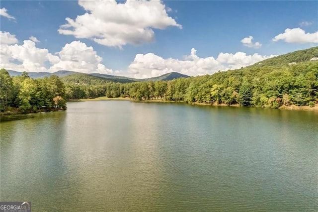 125 Wolfscratch, Big Canoe, GA 30143 - water view featuring a forest