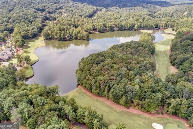 125 Wolfscratch, Big Canoe, GA 30143 - bird's eye view of a large body of water and a local golf course