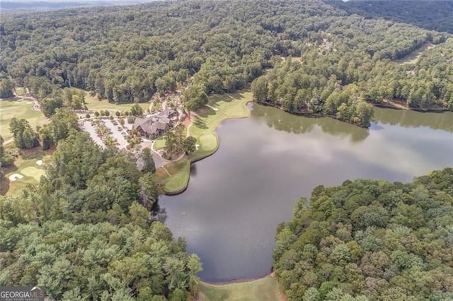 125 Wolfscratch, Big Canoe, GA 30143 - aerial overview of property's location with a forest and a nearby body of water