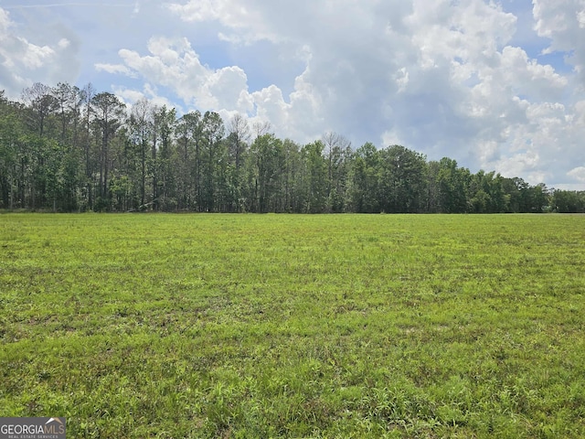 10143 US Highway 80 E, Brooklet, GA 30415