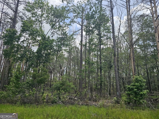10143 US Highway 80 E, Brooklet, GA 30415