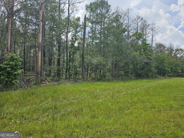 10143 US Highway 80 E, Brooklet, GA 30415
