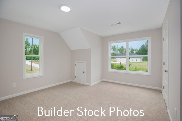 LOT6 The Rock Rd, Thomaston, GA 30286 - additional living space with carpet flooring, plenty of natural light, and vaulted ceiling